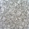 3dGRO® Колоректальные интестинальные органоиды, возраст 33 (Prep 88-C)