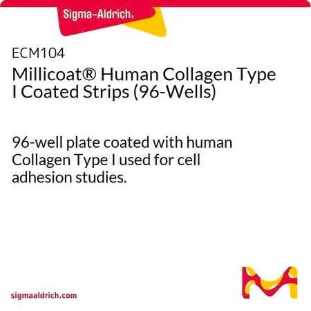Millicoat® стрипы с иммобилизованным коллагеном I типа человека (96-луночный планшет)