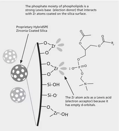 Набор HybridSPE-Phospholipid 96-луночный, Essential