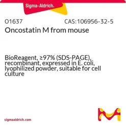 Онкостатин M мышиный, рекомбинантный, из E. coli, лиофилизированный порошок