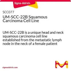Клеточная линия плоскоклеточной карциномы UM-SCC-22B