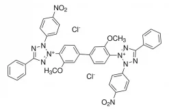 Нитроголубой тетразолий хлорид (NBT), ≥90.0% (HPLC)
