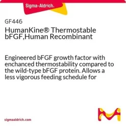 Термостабильный bFGF, HumanKine, рекомбинантный человеческий
