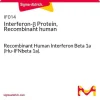 Интерферон-β, рекомбинантный человеческий белок