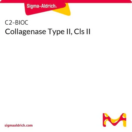 Коллагеназа типа II (Cls II) из Clostridium histolyticum