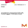 Иризин, рекомбинантный, экспрессирован в клетках CHO, с FLAG-меткой, >95% (SDS-PAGE)