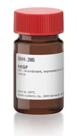 hEGF, рекомбинантный, экспрессирован в E. coli, лиофилизированный порошок, для клеточных культур