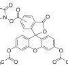 5(6)-Карбоксифлуоресцеин диацетат N-сукцинимидиловый эфир (CFSE), BioReagent, ≥90% (HPLC)