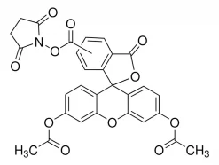 5(6)-Карбоксифлуоресцеин диацетат N-сукцинимидиловый эфир (CFSE), BioReagent, ≥90% (HPLC)