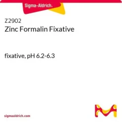 Цинковый формалиновый фиксатор, pH 6.2–6.3, готовый к использованию