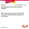 Фактор роста кератиноцитов человека (KGF, FGF-7), рекомбинантный, экспрессирован в клетках HEK 293, HumanKine®