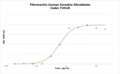 Фибронектин из фибробластов крайней плоти человека, лиофилизированный порошок