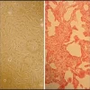 Клетки гладкой мускулатуры легочной артерии крысы (RPASMC), взрослые