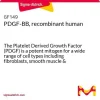 PDGF-BB, рекомбинантный человеческий