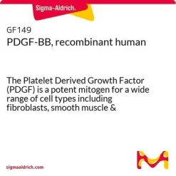 PDGF-BB, рекомбинантный человеческий