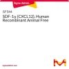 SDF-1α (CXCL12), человеческий рекомбинантный, Animal Free