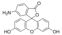 6-аминофлуоресцеин, BioReagent, для флуоресценции, ~95% (HPLC)