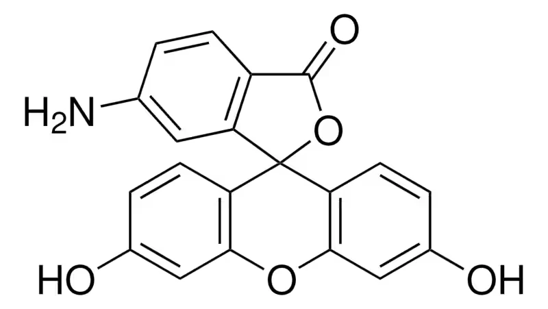 6-аминофлуоресцеин, BioReagent, для флуоресценции, ~95% (HPLC)