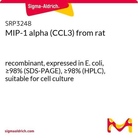MIP-1 альфа (CCL3) крысы, рекомбинантный, экспрессирован в E. coli
