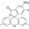 4,5-Диаминофлуоресцеин диацетат (DAF-2 DA), ≥98% (HPLC)