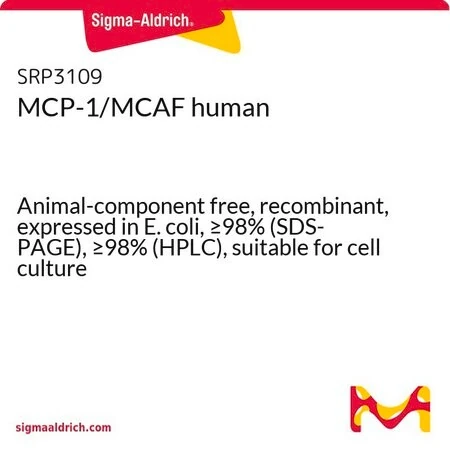 MCP-1/MCAF (CCL2), человеческий, рекомбинантный, экспрессирован в E. coli