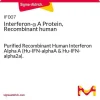 Интерферон альфа-2a, рекомбинантный человеческий белок