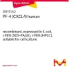 PF-4 (CXCL4) человека, рекомбинантный, экспрессирован в E. coli