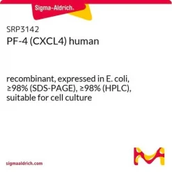 PF-4 (CXCL4) человека, рекомбинантный, экспрессирован в E. coli