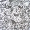 3dGRO® колоректальные интестинальные органоиды, возраст 62 (Prep 85-C)