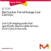 Биотрекер FerroOrange, флуоресцентный краситель для живых клеток