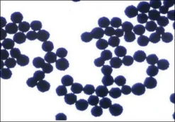 Supel™ Sphere Carbon/NH2 картридж для ТФЭ, 6 мл, упаковка 30 шт.