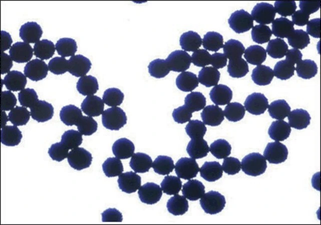 Supel™ Sphere Carbon/NH2 картридж для ТФЭ, 6 мл, упаковка 30 шт.
