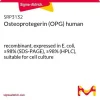 Остеопротегерин (OPG) человеческий, рекомбинантный, экспрессирован в E. coli