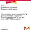 Рекомбинантный мышиный интерферон-гамма (IFN-γ), экспрессированный в E. coli
