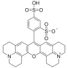Сульфородамин 101, красный флуоресцентный краситель, ~95%