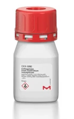 Коллагеназа из Clostridium histolyticum, лиофилизированный порошок, ≥125 CDU/мг твердого вещества