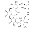 β-Эстрадиол, водорастворимый, BioReagent, для культуры клеток
