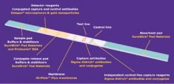 Hi-Flow™ Plus мембрана 180, нитроцеллюлозная, без подложки, ширина 25 мм, рулон 100 м