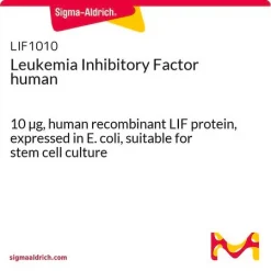 Фактор, ингибирующий лейкемию человека (LIF), рекомбинантный, 10 мкг