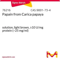 Папаин из Carica papaya, раствор, светло-коричневый, ≥10 ед./мг белка (~25 мг/мл)