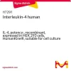 Интерлейкин-4 человека, рекомбинантный, экспрессирован в клетках HEK 293, HumanKine