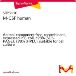 M-CSF человека, рекомбинантный, экспрессирован в E. coli