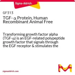 TGF-альфа, рекомбинантный белок человека, Animal Free