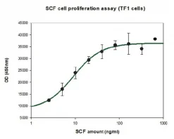 Фактор стволовых клеток человека (SCF), рекомбинантный, экспрессирован в клетках HEK 293, для клеточных культур