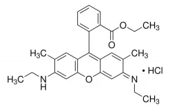 Родамин 6G (Basic Red 1), CAS 989-38-8