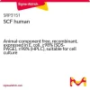 Фактор стволовых клеток человека (SCF), рекомбинантный, экспрессированный в E. coli, ≥98% (SDS-PAGE), ≥98% (HPLC)