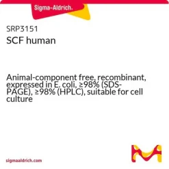 Фактор стволовых клеток человека (SCF), рекомбинантный, экспрессированный в E. coli, ≥98% (SDS-PAGE), ≥98% (HPLC)