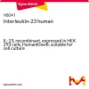 Интерлейкин-23 человека, рекомбинантный, экспрессирован в клетках HEK 293, HumanKine, для клеточных культур