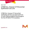 CFBE41o- Человеческая CF бронхиальная эпителиальная клеточная линия