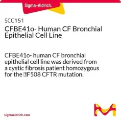 CFBE41o- Человеческая CF бронхиальная эпителиальная клеточная линия
